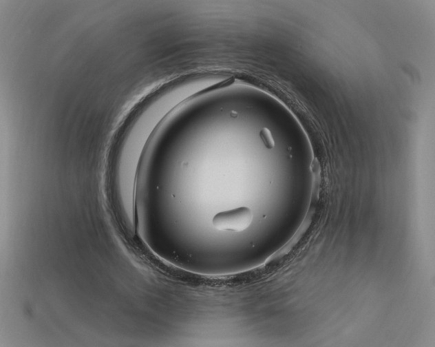 X0000114120728200910051510