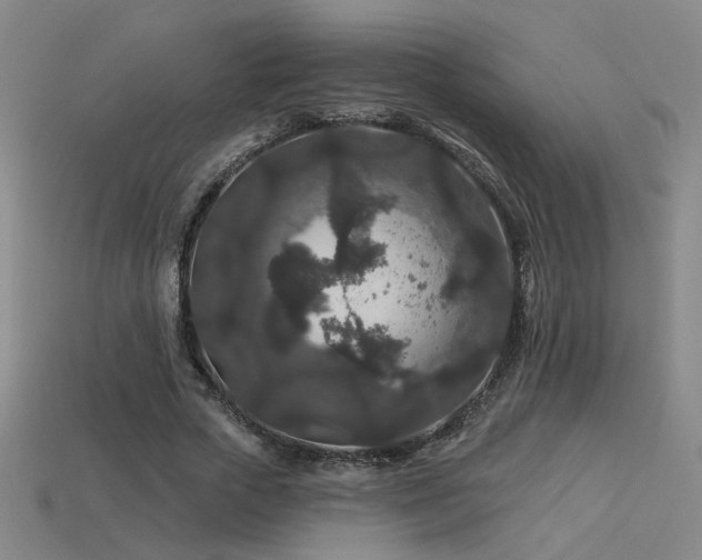 X0000114120729200910051510