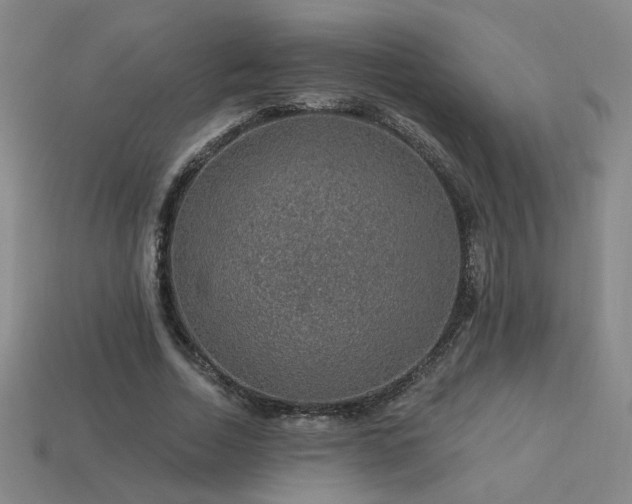 X0000114120730200910051510