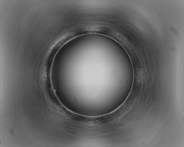 X0000114120731200910051510