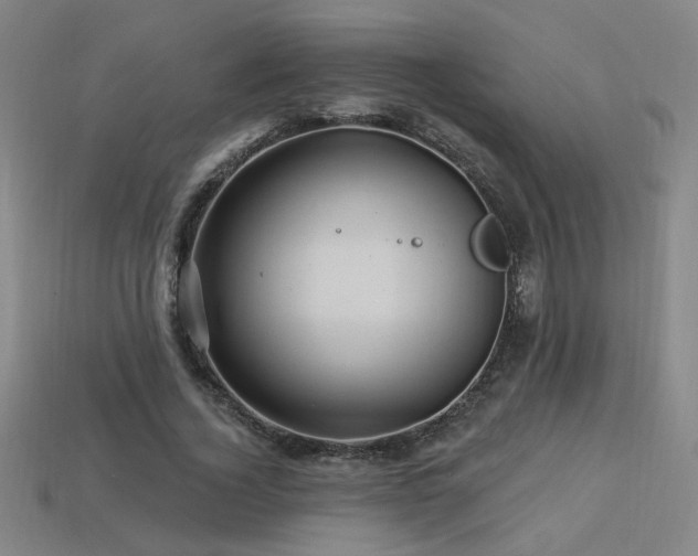 X0000114120732200910051510