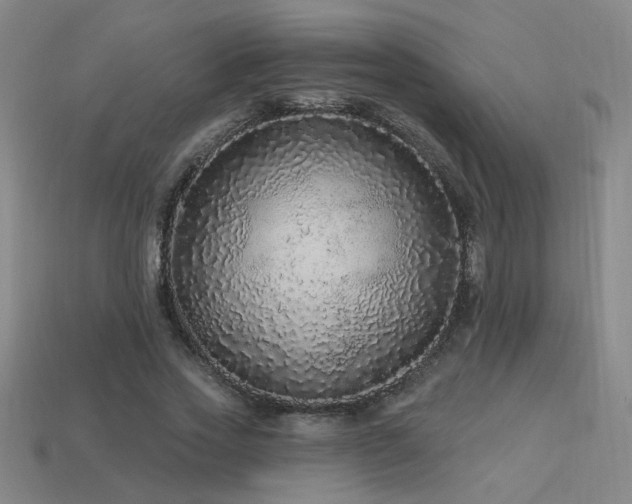 X0000114120733200910051510