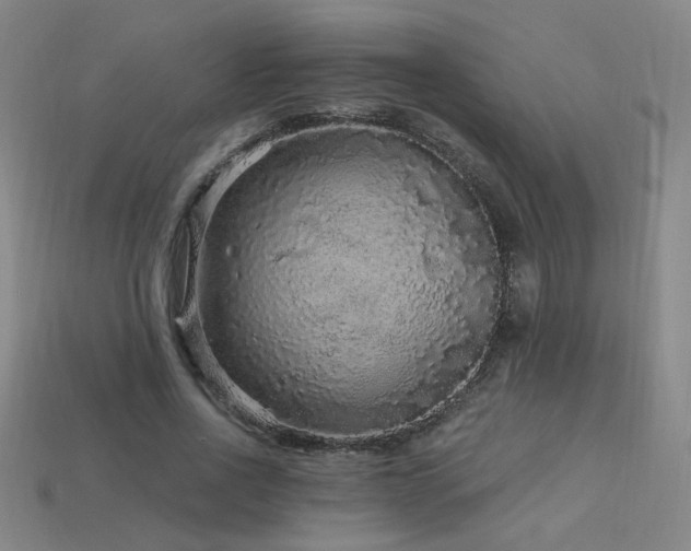 X0000114120734200910051510