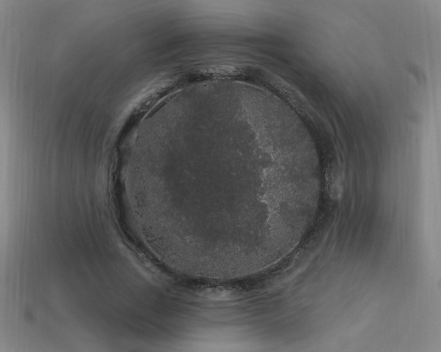 X0000114120735200910051510