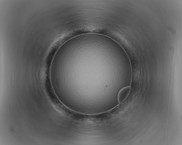 X0000114120736200910051510