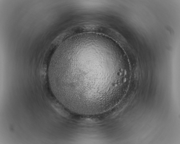 X0000114120737200910051510