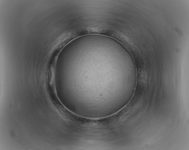 X0000114120738200910051510