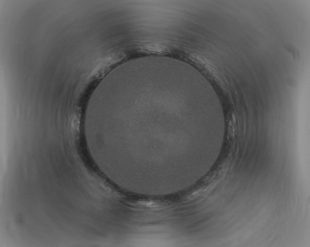 X0000114120739200910051510