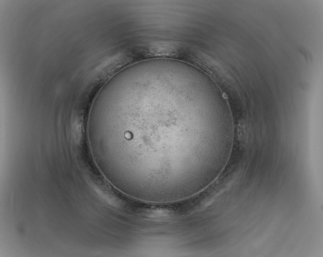 X0000114120741200910051510