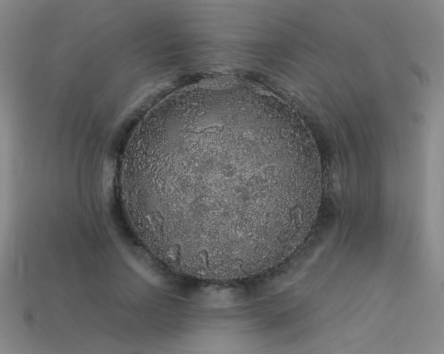 X0000114120742200910051510