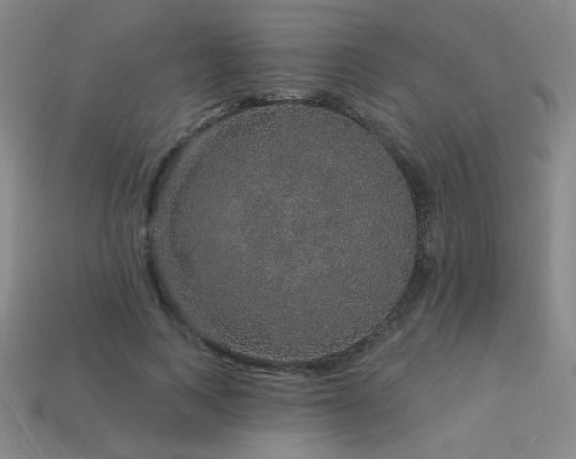 X0000114120743200910051510