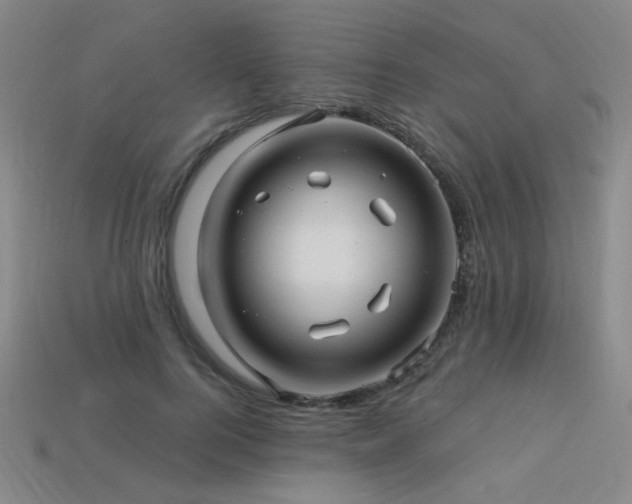 X0000114120744200910051510