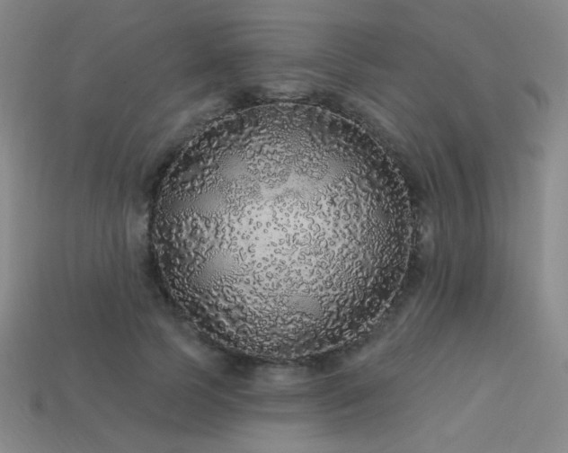 X0000114120745200910051510