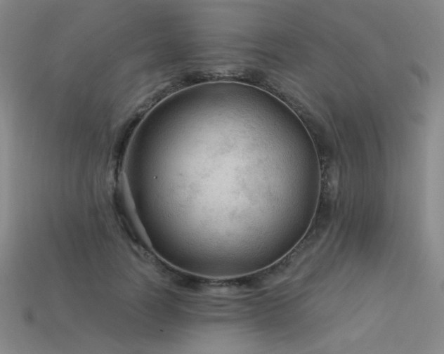 X0000114120746200910051510