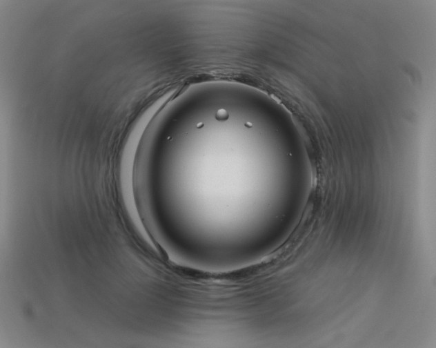 X0000114120748200910051510