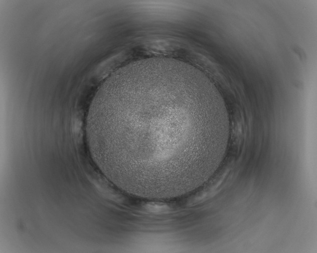 X0000114120749200910051510