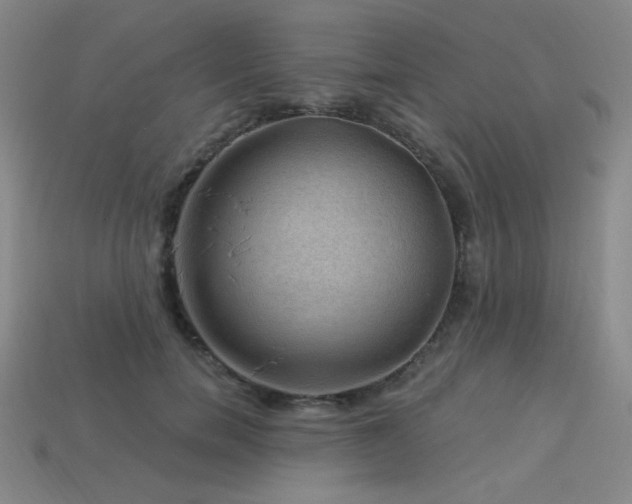 X0000114120750200910051510