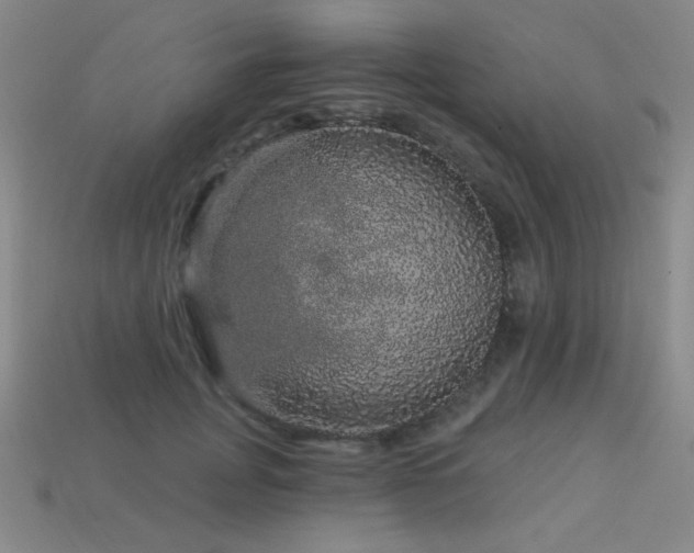 X0000114120751200910051510