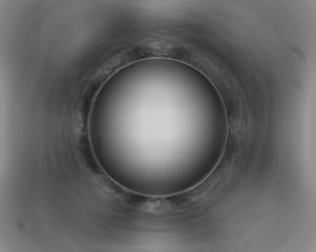 X0000114120752200910051510