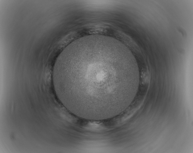 X0000114120753200910051510