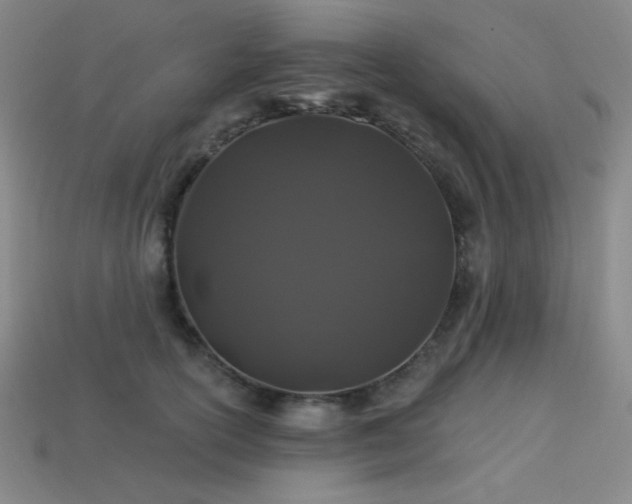 X0000114120754200910051510