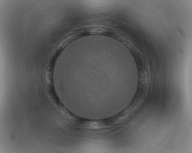 X0000114120755200910051510