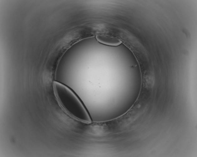 X0000114120756200910051510