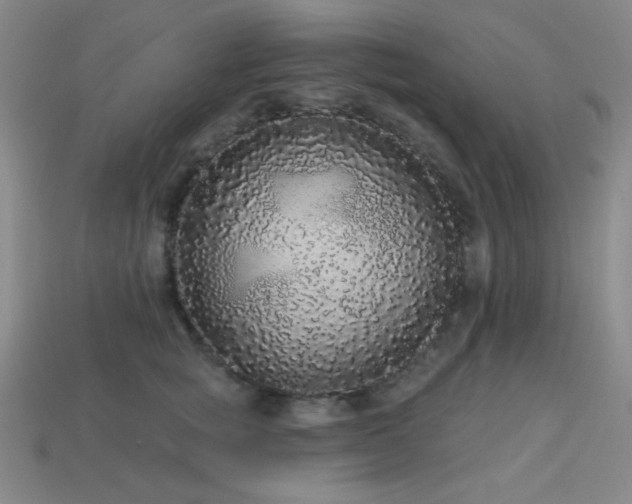 X0000114120757200910051510