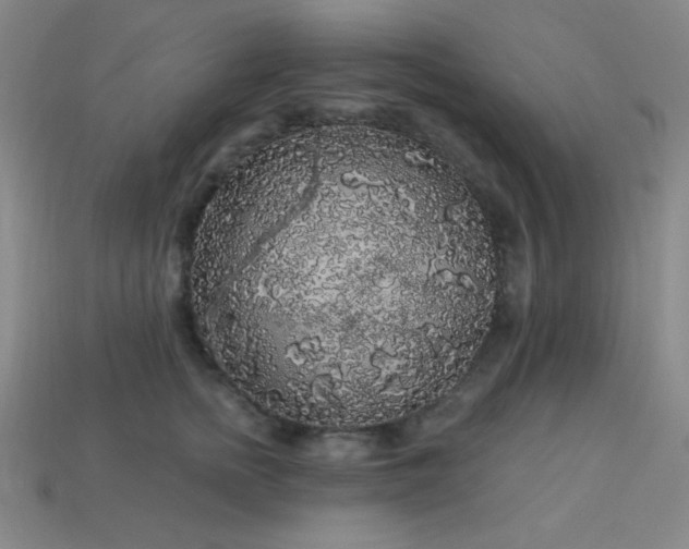 X0000114120758200910051510