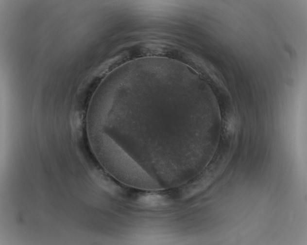 X0000114120759200910051510