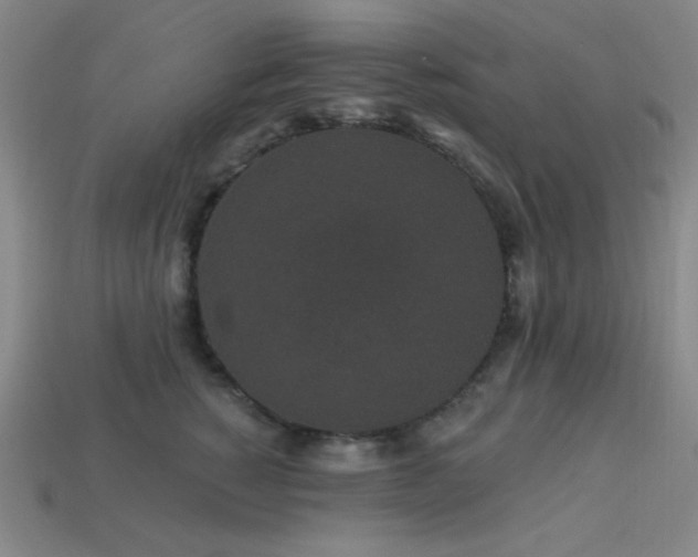 X0000114120760200910051510