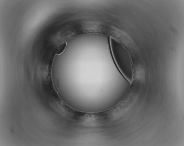 X0000114120764200910051511