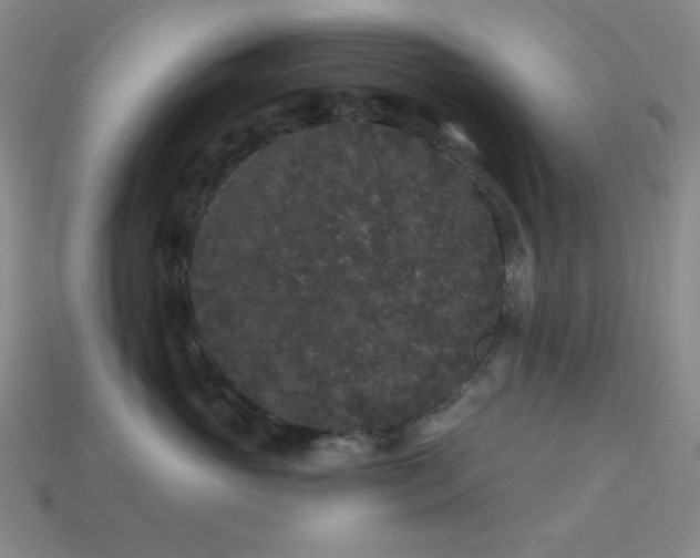 X0000114120765200910051511