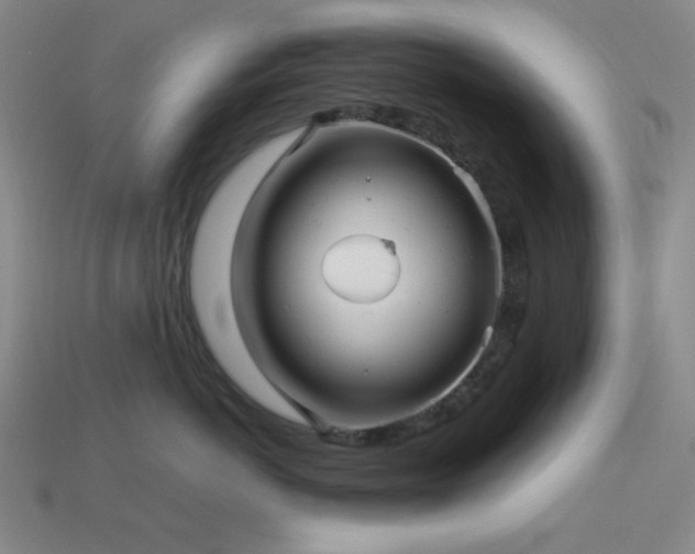 X0000114120766200910051511