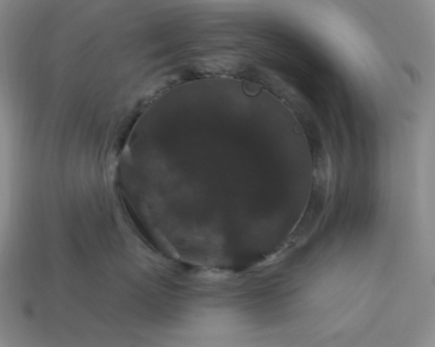 X0000114120767200910051511