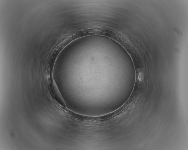 X0000114120771200910051510