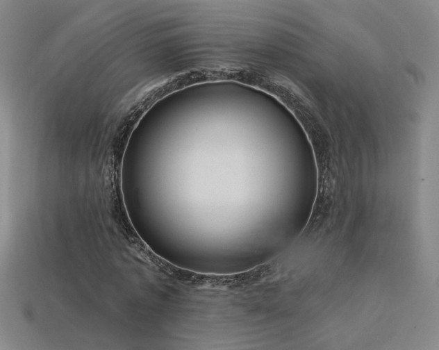 X0000114120773200910051510