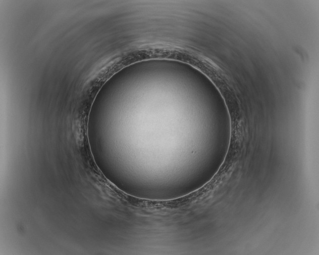 X0000114120774200910051510