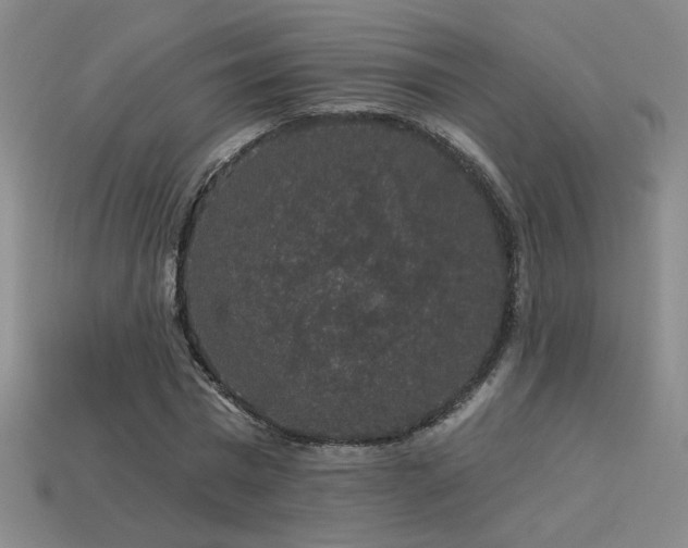 X0000114120777200910051510