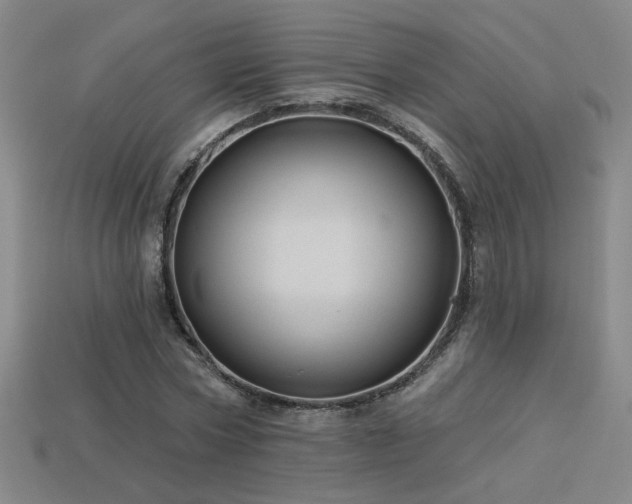 X0000114120778200910051510