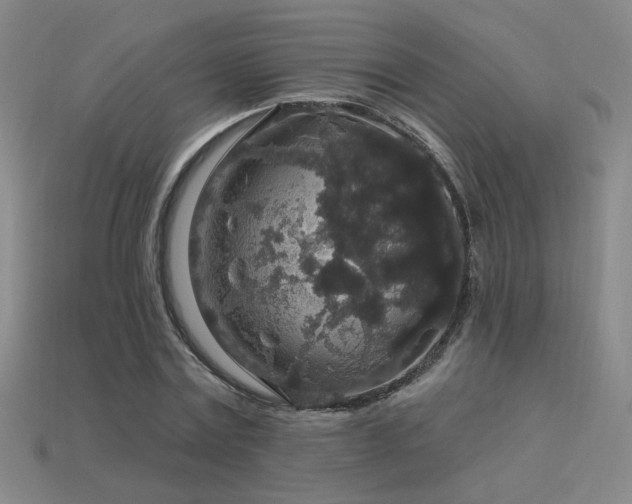 X0000114120779200910051510