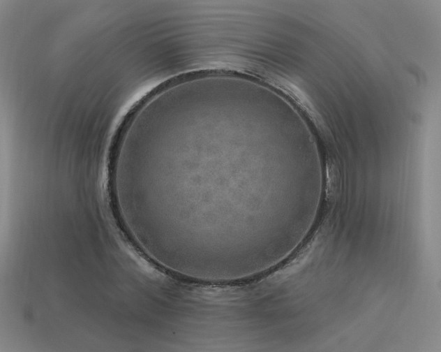 X0000114120780200910051510