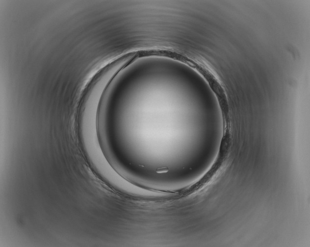 X0000114120781200910051510