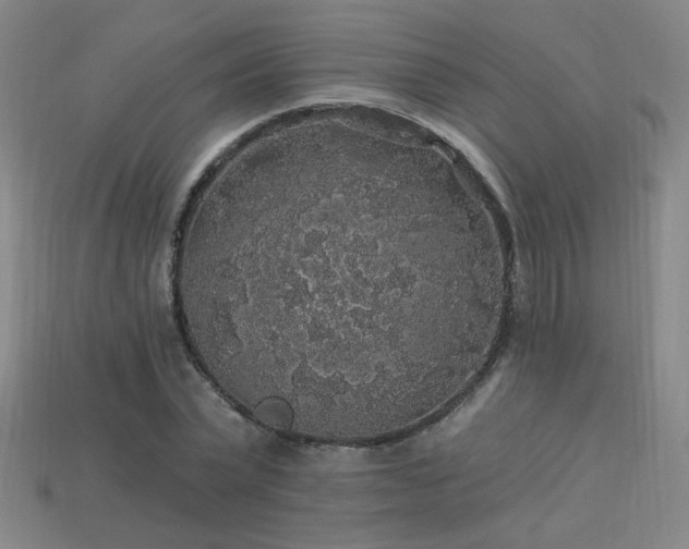 X0000114120783200910051510