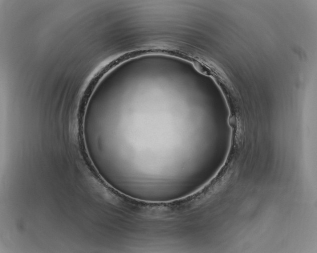 X0000114120784200910051510