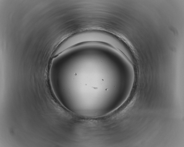 X0000114120785200910051510