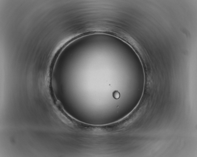 X0000114120787200910051510