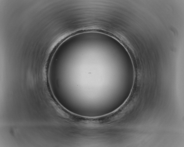 X0000114120789200910051510