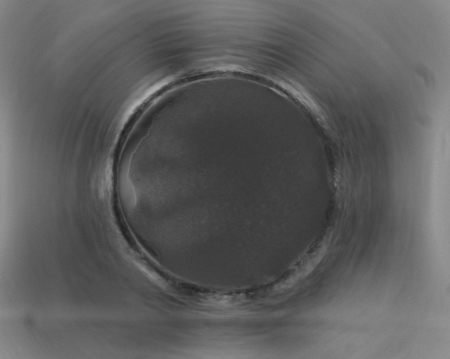 X0000114120790200910051510