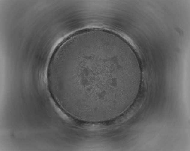 X0000114120791200910051510